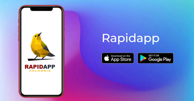RapidApp